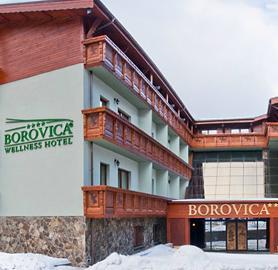 Aplend Wellness Hotel Borovica