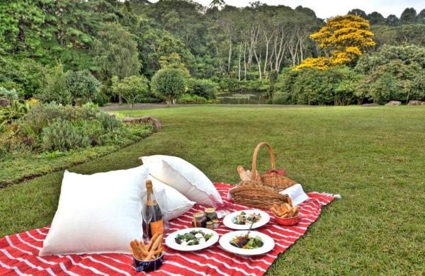 Makaranga Garden Lodge, Kloof - Compare Deals