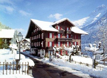 Hôtel des Alpes