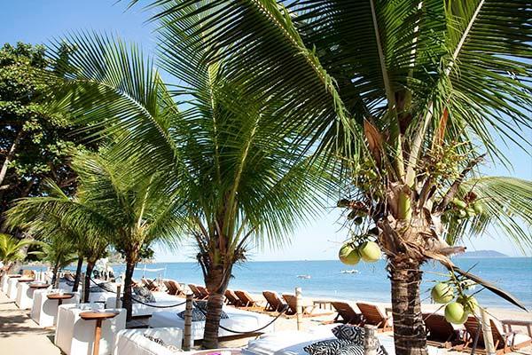 Dpny Beach Hotel Ilhabela Compare Deals