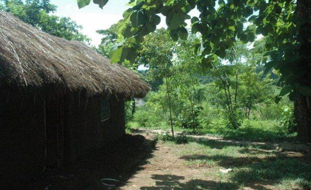 Udzungwa Forest Tented Camp Kilombero