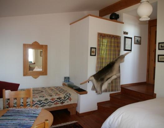 Brigitte's Bavarian Bed Und Breakfast