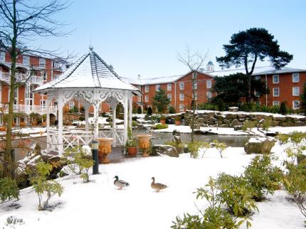 Cheap deals alton towers hotel