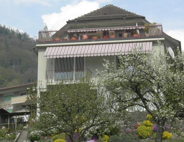 'La plus belle vue du lac Léman'