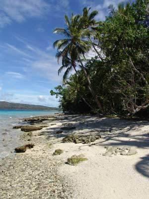 Tranquillity Island Lodge Moso Island