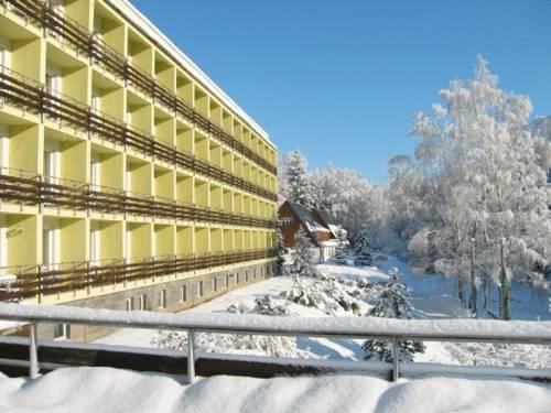 Hotel Schwarzbachtal Erlbach (Saxony)