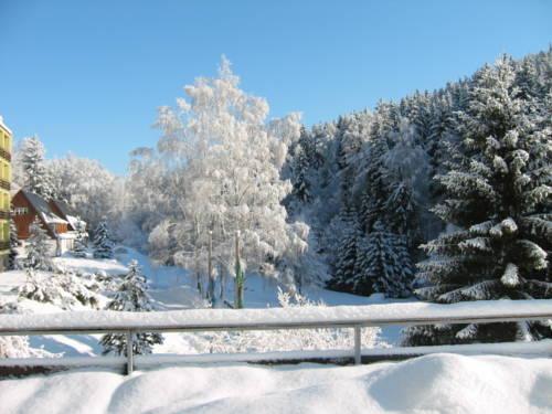 Hotel Schwarzbachtal Erlbach (Saxony)