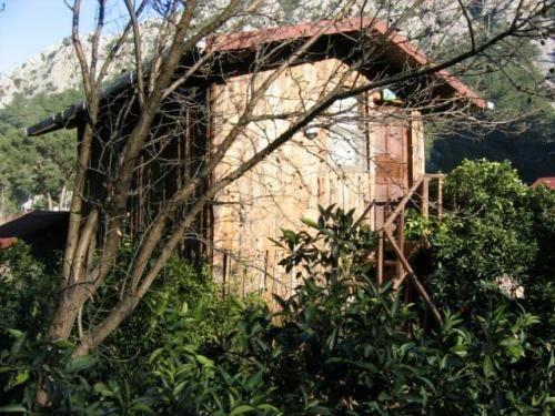 Bayrams Tree Houses Antalya