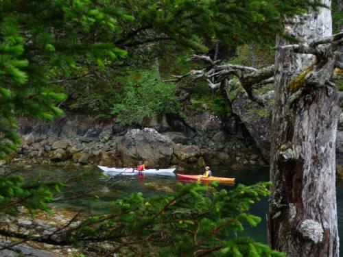 Orca Island Cabins Seward Compare Deals
