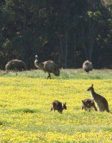 Harmony Forest Villas And Vineyard Retreat Forest Grove (Australia)