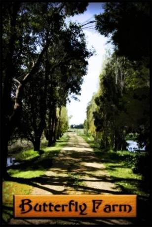 Butterfly Farm Bed And Breakfast Nirranda Compare Deals