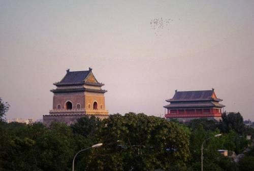 베이징 드럼 타워 유스 호스텔, Beijing Drum Tower Youth Hostel