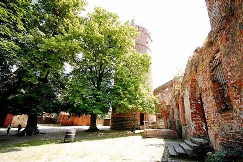 Hotel And Burggasthof Zur Alten Münze Burg Stargard