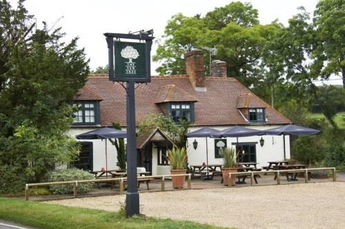 The Yew Tree