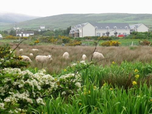 Skellig Hostel Ballinskelligs