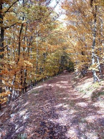 Landgasthof Zum Adler Medebach