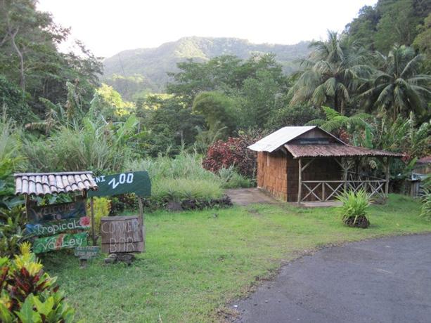 Natty Tropical Valley