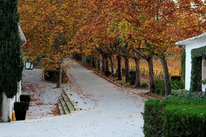 The Wine House Hotel Lamego