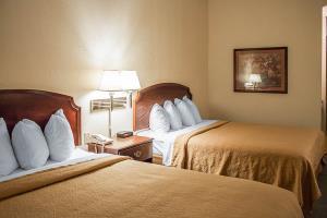 Quality Inn & Suites Bellville