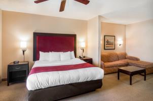 Comfort Suites Dfw N Grapevine Compare Deals