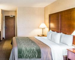 Quality Inn Brighton Compare Deals