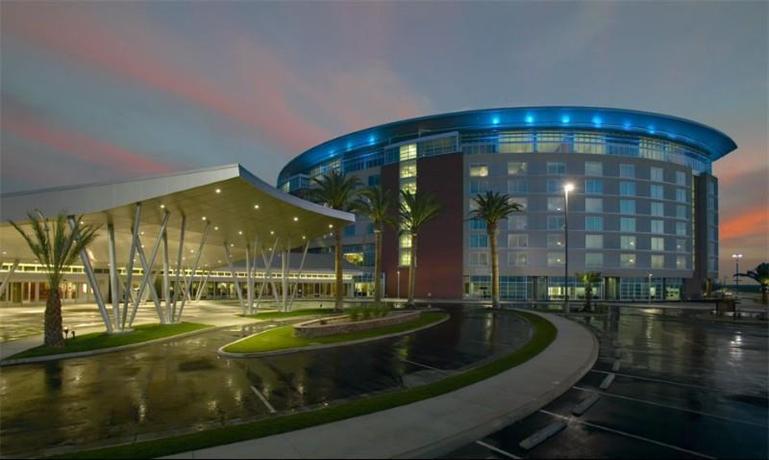 Palace casino lemore how to become a casino manager