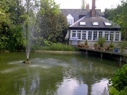 Orchard Pond Bed & Breakfast