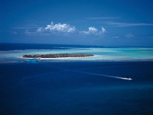 Special deals heron island