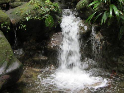 Hibiscus Valley Inn