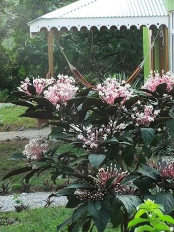 Serenity Lodges Dominica