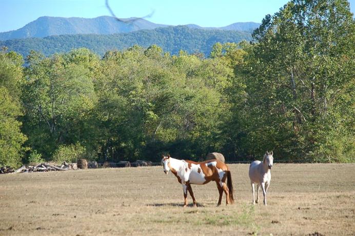 Creekwalk Inn Bed And Breakfast With Cabins Cosby Compare Deals