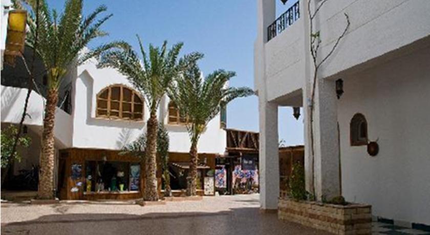 Penguin Village Dahab