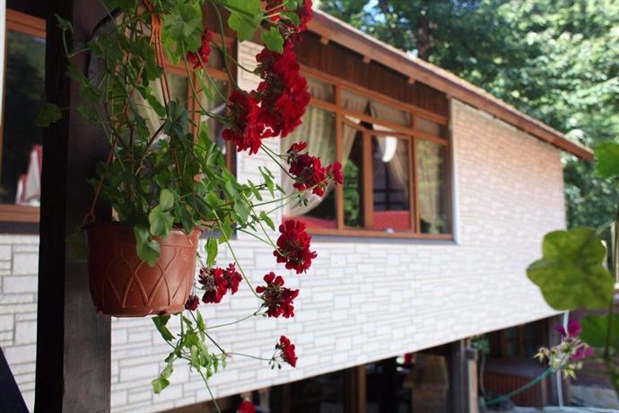 HI292430695 кастана красная поляна телефон