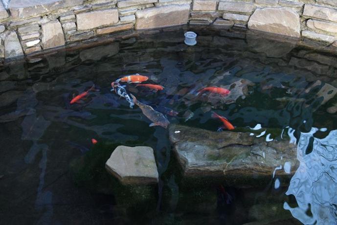 HI292430705 кастана красная поляна телефон