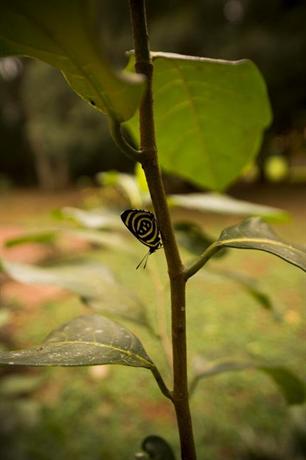 Iguassu Eco Hostel