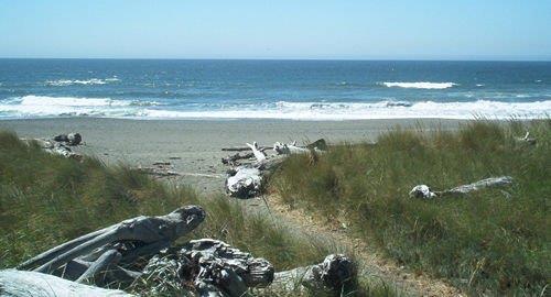 Inn Of The Beachcomber Gold Beach Compare Deals About Inn Of The Beachcomber