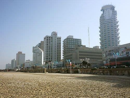 Golden Beach Hotel By Arcadia Hotels Chain Tel Aviv Compare Deals Golden Beach Hotel By Arcadia Hotels Chain