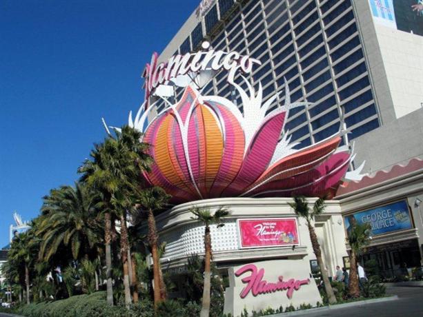 the flamingo las vegas casino
