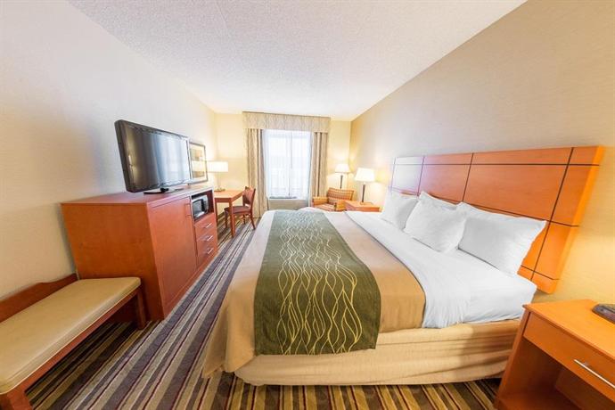 Comfort Inn Metro Airport Detroit Compare Deals