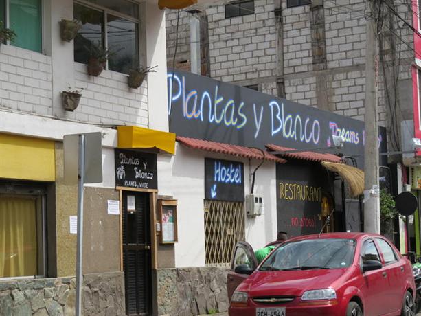 Hostel Plantas y Blanco