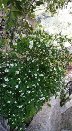 Villa Annalara Relais Hotel Amalfi