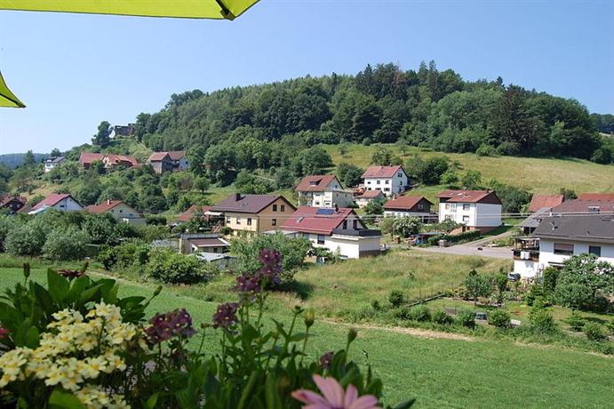 Landgasthof Grüner Baum Hotel Beerfelden