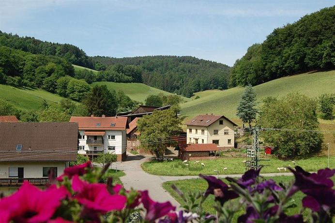 Landgasthof Grüner Baum Hotel Beerfelden