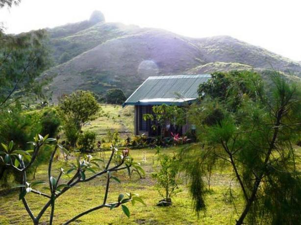 Daily deals bay of plenty
