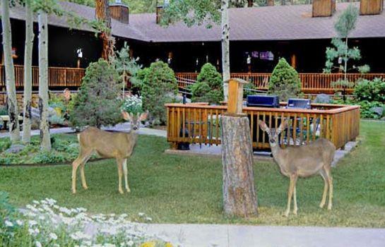 Shadow Mountain Lodge And Cabins Ruidoso Compare Deals