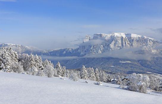 Park Hotel Holzner Ritten