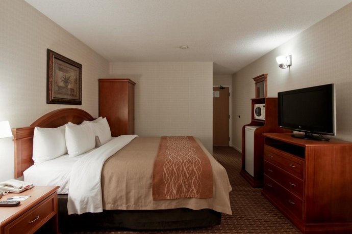 Comfort Inn Toronto Northeast Markham Compare Deals