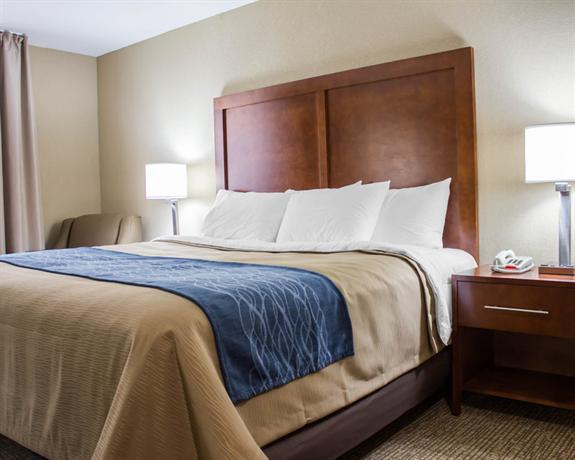 Comfort Inn New York City