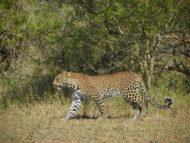 Pestana Kruger Lodge Malelane