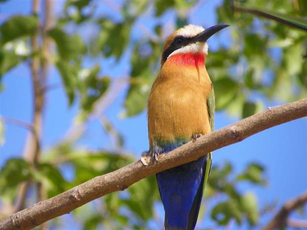 Pestana Kruger Lodge Malelane